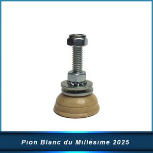 Pion Blanc Bi-Matières du Millésime 2025