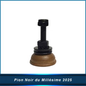 Pion Noir Bi-Matières du Millésime 2025