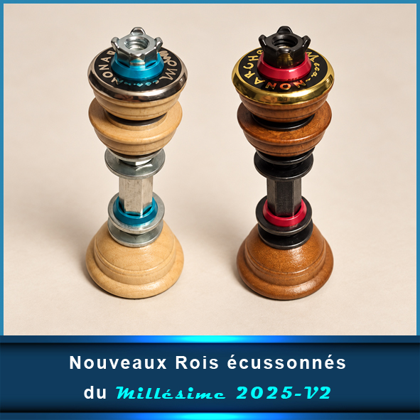 Pièces seules ©Millésime 2025-V2 Bois & métal – Image 3